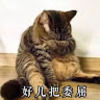 mike1314521